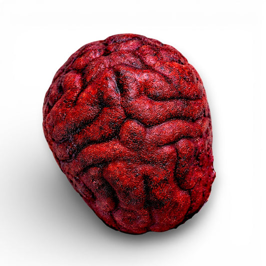 Brain Rot| Scary/Halloween/Horror/Anatomy Bath Bomb